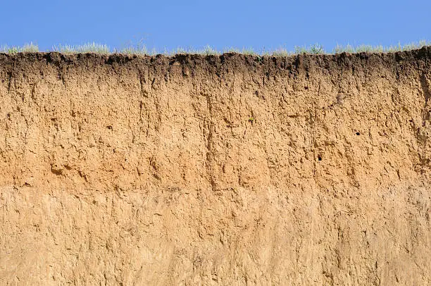 Cut of soil with different layers visible and grass on top