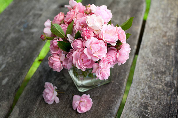 istock small pink garden roses on wooden surface 501138167