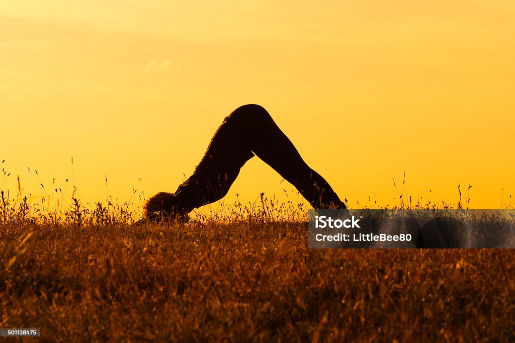 Yoga-Adho Mukha Svanasana/Downward Facing Dog Pose A silhouette of a woman practicing yoga. Active Lifestyle Stock Photo