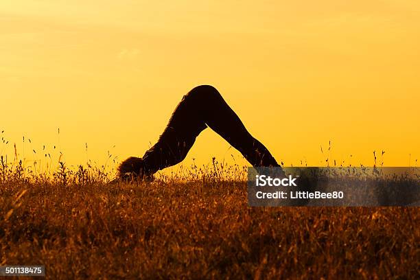 Yogaadho Mukha Svanasana Downward Facing Dog Pose Stock Photo - Download Image Now - Active Lifestyle, Adult, Adults Only