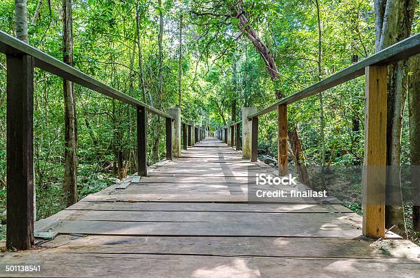 Wooden Bridge In The Forest Stock Photo - Download Image Now - Adventure, Architecture, Autumn