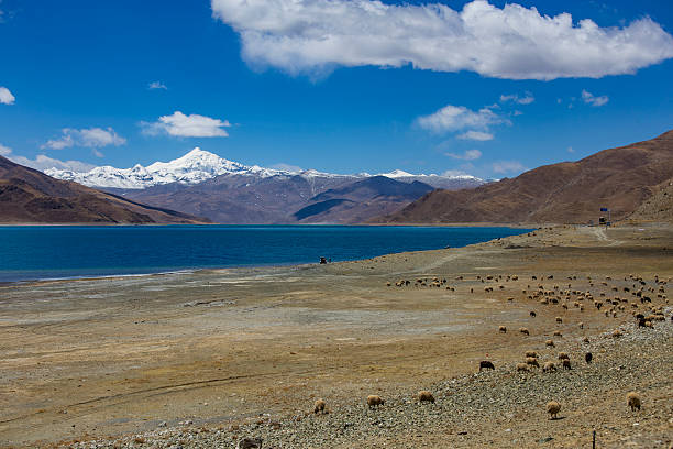 istock Tibet landscape, Tibet, China. 501146804