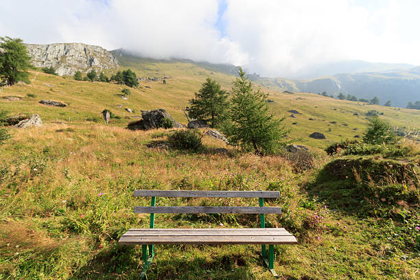 istock Bench and mountain in the Alps, Austria 501150028