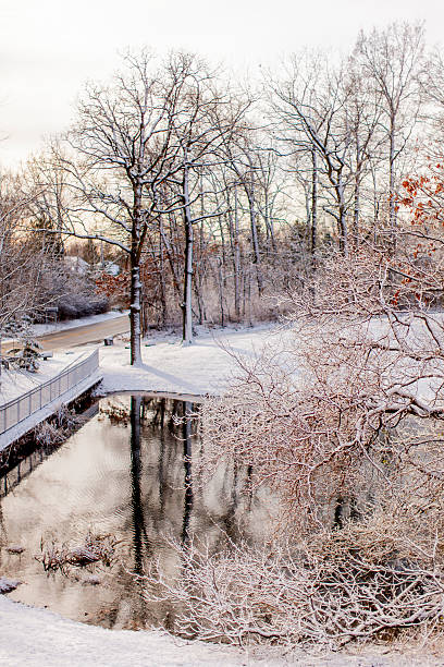istock Michigan Winter Pond 501150483