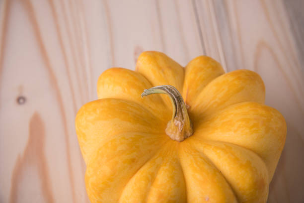 Fresh Organic Pumpkin on Wooden Background