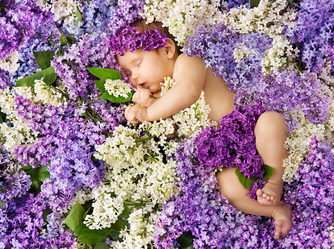 baby in lilac flowers, newborn child greeting card, small new born girl sleeping on floral background
