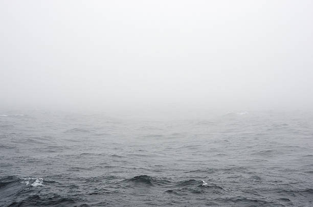 Photo of Sea mist