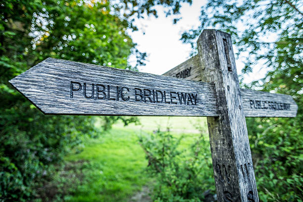istock Wooden Signpost 501153399