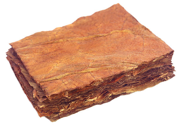 istock Dry tobacco leaves 501154518