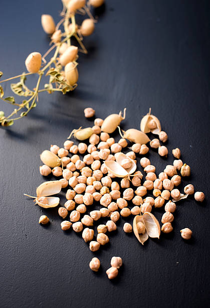 Organic chickpea stock photo