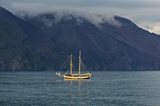 istock Whale watching tours from old sailing ship at Husavik bay 501155536