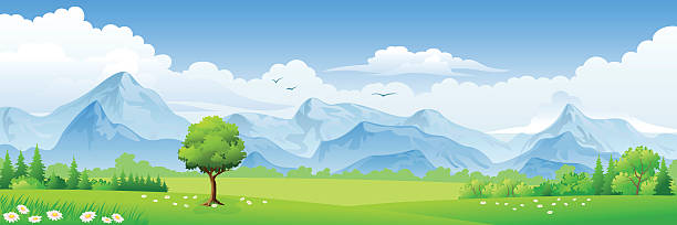 sommer-landschaft mit wiesen und die berge - plant animal backgrounds nature stock-grafiken, -clipart, -cartoons und -symbole