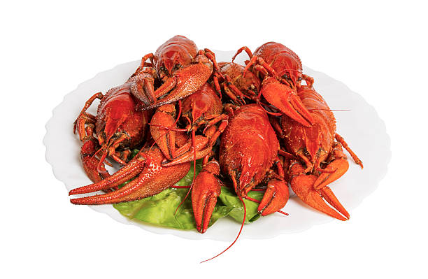 istock Boiled crayfishes on the plate, isolated 501157592