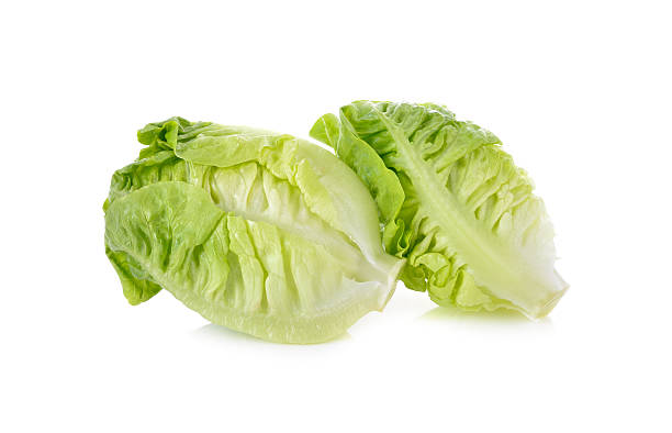 istock fresh baby cos (lettuce) on white background 501157938