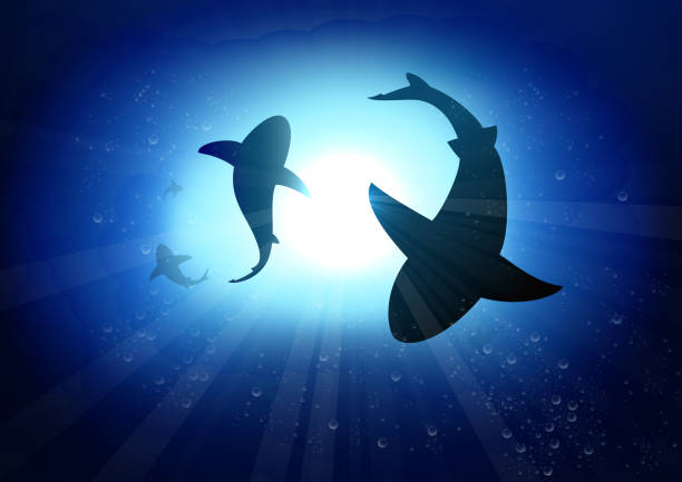 stockillustraties, clipart, cartoons en iconen met two sharks in the underwater background - toy shark