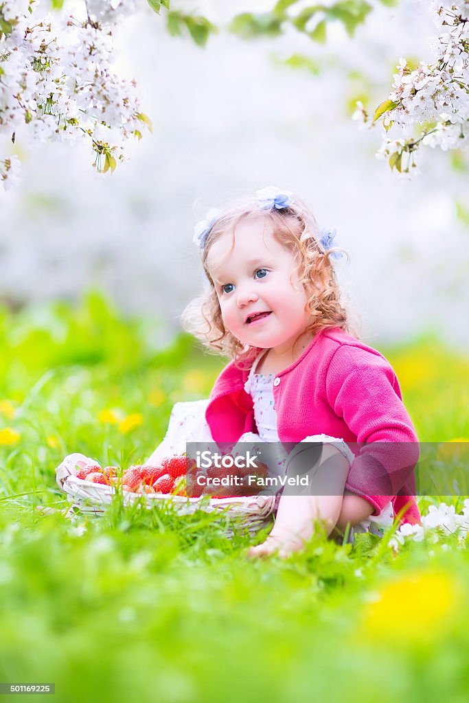 Sweet toddler girl eating strawberry in blooming garden Cute happy toddler girl with curly hair and flower crown wearing a red dress enjoying picnic in a beautiful blooming fruit garden with white blossoms on apple trees eating strawberry for healthy snack Apple - Fruit Stock Photo