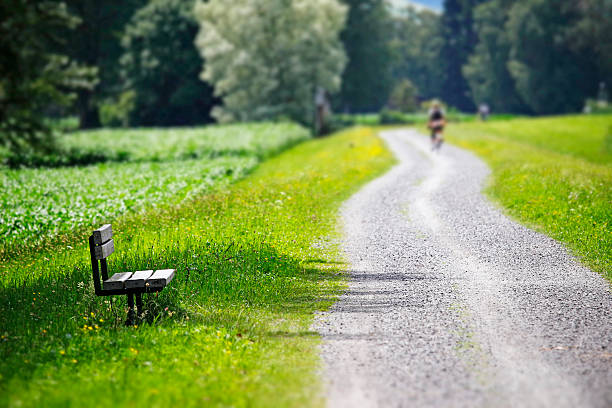 Bikeway at Lake Constance / Vorarlberg / Austria / Europe