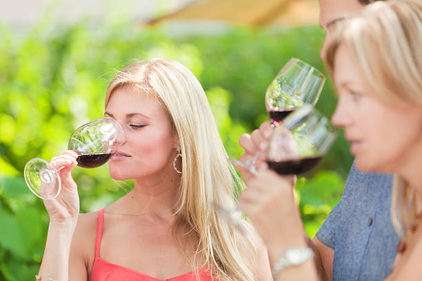 istock Outdoor Wine Tasting in Winery Vineyard Horizontal 501169425