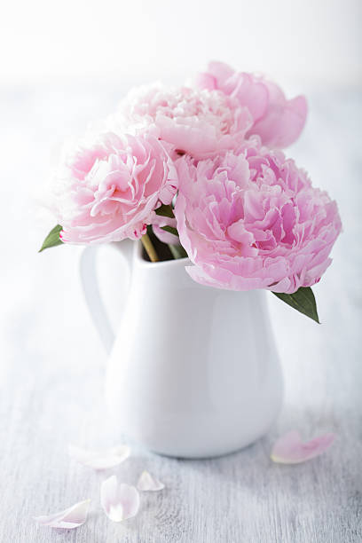 istock beautiful pink peony bouquet in vase 501171221