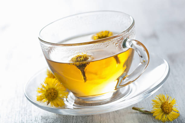 istock herbal tea with coltsfoot flowers 501171417