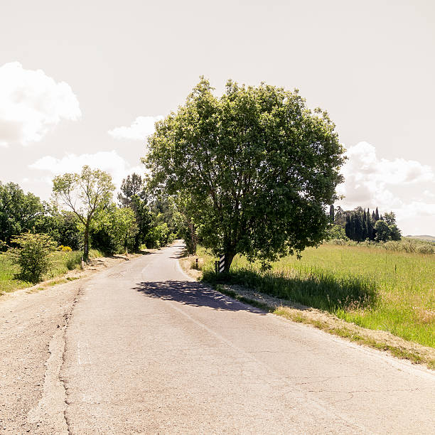 istock Street in Umbria Italy 501171653