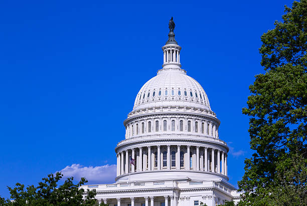 istock Dome of the Capitol building in Washington DC 501171789