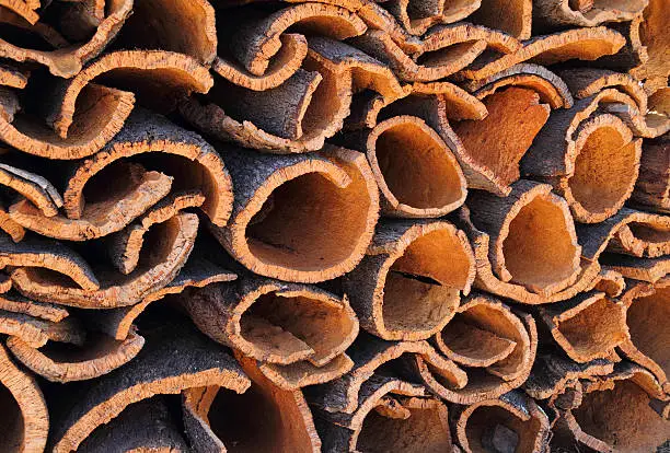 Portugal, Alentejo region, newly harvested, cork oak bark drying in the sunshine (unprocessed cork).