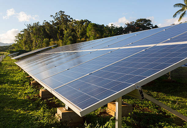 istock Large solar power installation in tropics 501173901