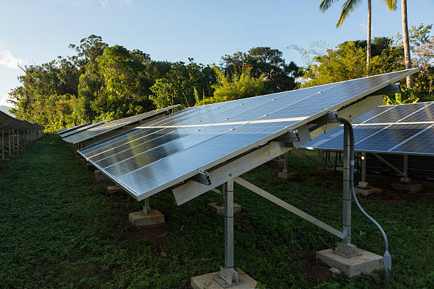 istock Large solar power installation in tropics 501173935