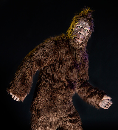 A sasquatch/bigfoot walking.