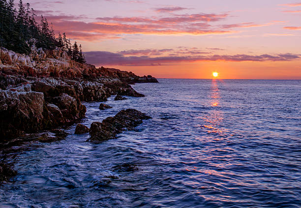 Bass Harbor costa all'alba - foto stock