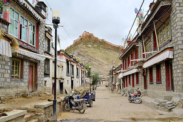 dzong fort y la ciudad de gyantse en el tíbet. - lamaism fotografías e imágenes de stock
