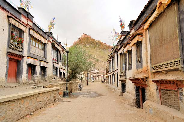 dzong fort y la ciudad de gyantse en el tíbet. - lamaism fotografías e imágenes de stock