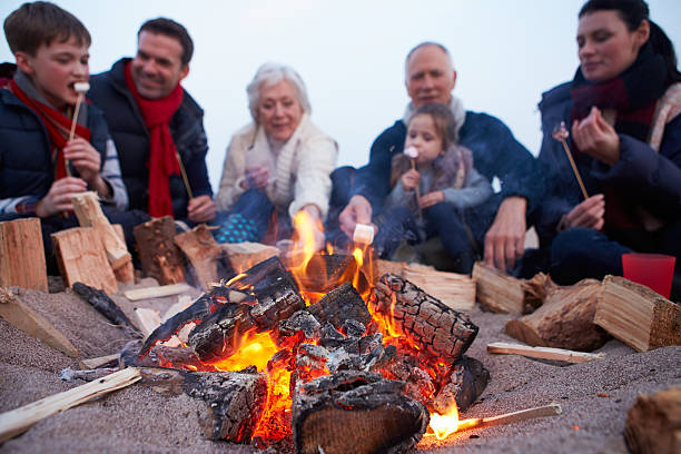 Multi Generation Family Having Barbeque On Winter Beach Multi Generation Family Having Barbeque On Winter Beach Cooking Marshmellows family bbq beach stock pictures, royalty-free photos & images