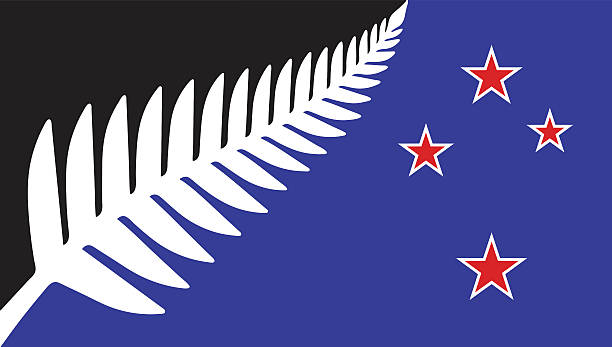 nowe flaga nowej zelandii - silver fern stock illustrations