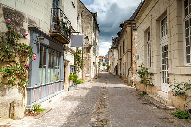 Climate medieval town of Chinon streets on the river Loire. Photographs were taken with the 5D mark II using gradient filters.
