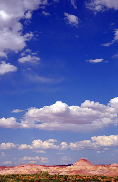 istock Painted Desert, Arizona, USA 501191061