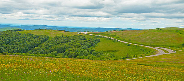 istock Meadows in mountains in summer 501191562