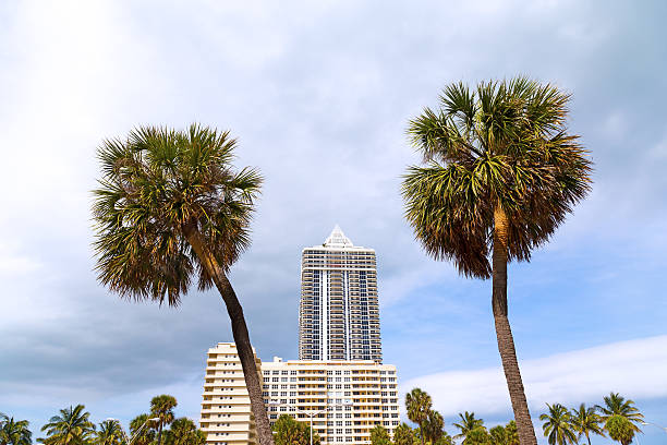 istock Blue sky and grey clouds over palms and buildings. 501191651