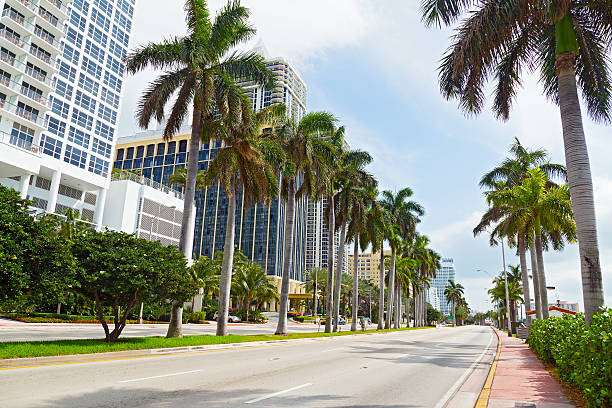 istock Road with palms and modern buildings in Miami Beach, Florida. 501191655