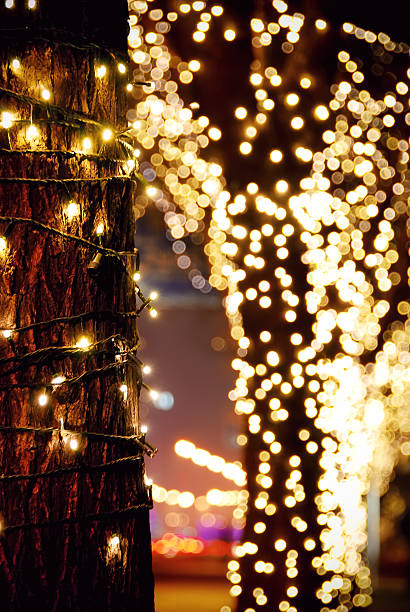 Tree decorated with light garlands stock photo