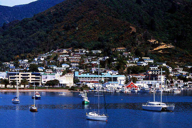 istock Picton, New Zealand 501194534
