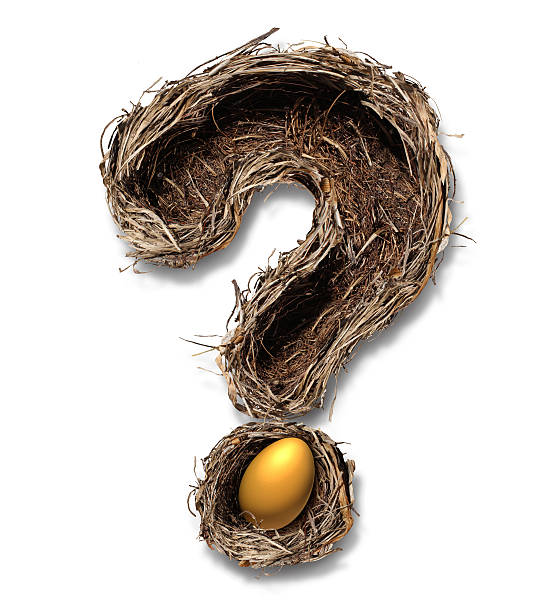 emeryturę nest egg pytania - pension retirement 401k nest egg zdjęcia i obrazy z banku zdjęć