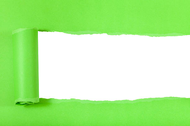 istock green rolled-up torn paper on cutout background 501194918