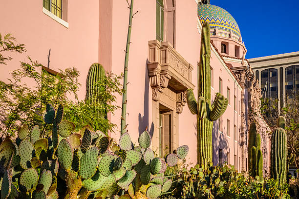 palazzo di giustizia della contea di pima cactus del deserto paesaggio di tucson in arizona - revivals foto e immagini stock