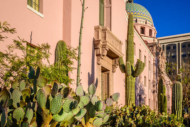 Pima County Courthouse Desert Cactus Landscaping in Tuscon Arizona Pima County Courthouse Desert Cactus Landscaping in Tuscon Arizona revival stock pictures, royalty-free photos & images