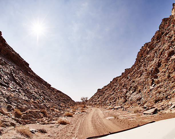 Shot of a dirt road running through rugged terrainhttp://195.154.178.81/DATA/i_collage/pi/shoots/806103.jpg