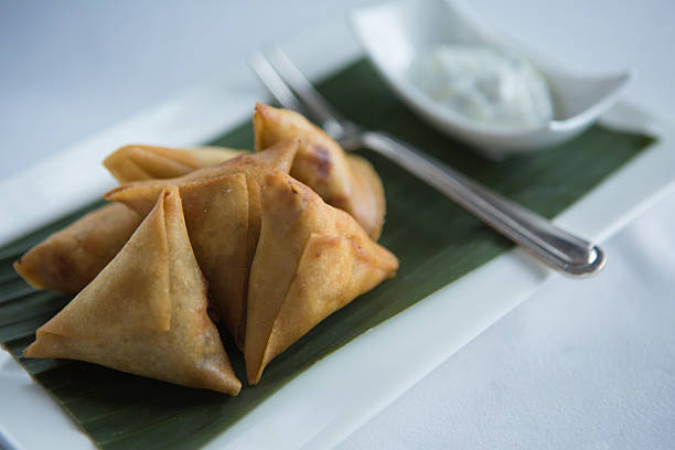 istock Crispy fried Chicken samosas with yogurt dipping sauce. 501197644