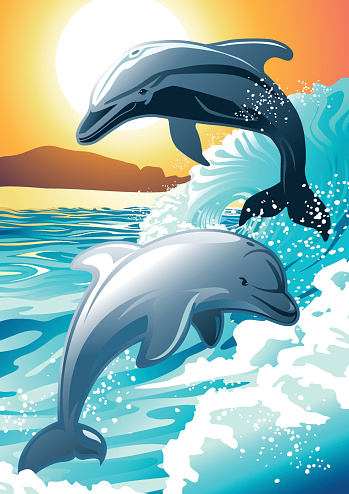 Two dolphin swimming at a beach at sunrise .