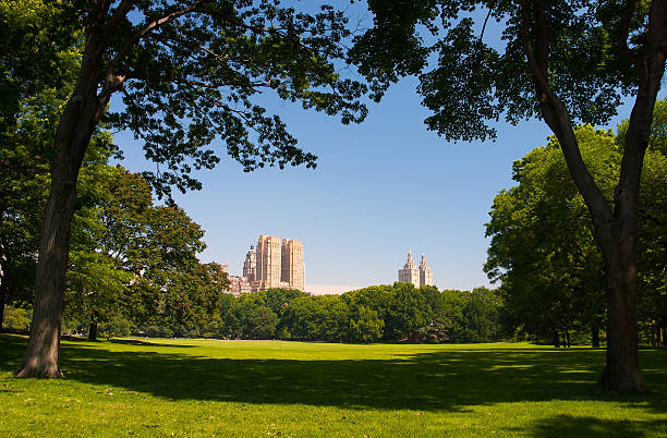 istock Empty Central park in the morning, New York 501199840